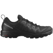 Scarpe da uomo Salomon X Braze Gore-Tex nero Black