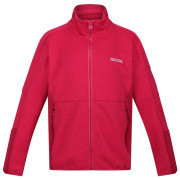 Felpa da bambino Regatta Jr Highton FZ IV rosa Berry Pink