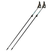 Bastoncini da nordic walking Fizan Tekno Race Impulse grigio Grey