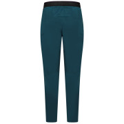 Pantaloni da uomo Salewa Pedroc 3 Dst Light Pant M