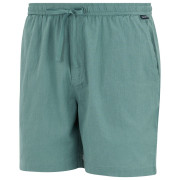 Pantaloncini da uomo Regatta Hadlin Shorts