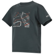 Maglietta da bambino Regatta Alvarado Seal Grey