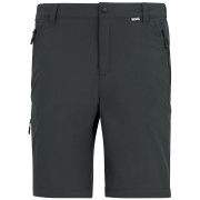 Pantaloni da uomo Regatta Anti-Insect Travel Light Z/O Trousers