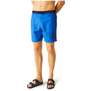 Costume da bagno da uomo Regatta Bentham swim short