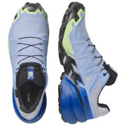 Scarpe da corsa da uomo Salomon Speedcross 6 GTX Icon