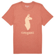 Maglietta da uomo Cotopaxi Cotopaxi Llama T-Shirt