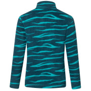 Felpa da bambino Regatta Hot Shot II MeditZebra