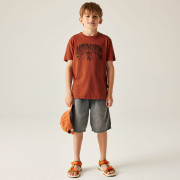 Maglietta da bambino Dare 2b Trailbazer III Tee Arabian Spice