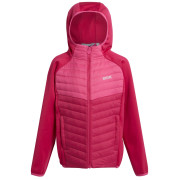 Giacca da bambino Regatta Kielder Hybrd VIII rosa Pink Potion/Flamingo Pink