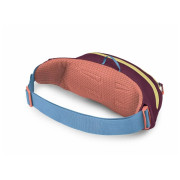 Marsupio Osprey Daylite Waist Pack