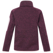 Felpa da bambino Regatta Junior Newhill Fig Powder Lilac