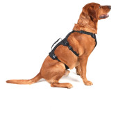 Pettorina per cane Mountain Paws 3-Strap Dog Harness