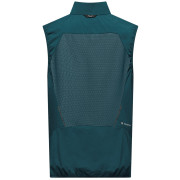 Gilet da uomo Salewa Pedroc Dst Light Vest M