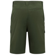 Pantaloncini da uomo Regatta Arlery Shorts