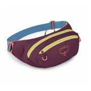 Marsupio Osprey Daylite Waist Pack