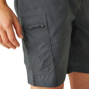 Pantaloncini da uomo Regatta Dalry Short