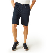 Pantaloncini da uomo Regatta Aldan Short