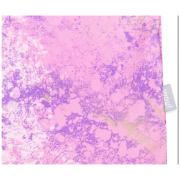 Maglietta da bambino Wouki Aiki Dusty violet