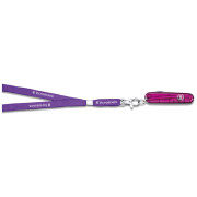 Coltello chiudubile Victorinox Coltello con seghetto