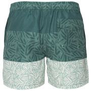 Costume da bagno da uomo Aquawave Palawan