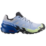 Scarpe da corsa da uomo Salomon Speedcross 6 GTX Icon