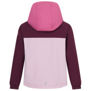 Giacca da bambino Regatta Hanleigh Fig