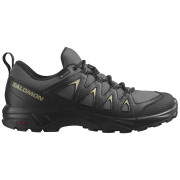 Scarpe da uomo Salomon X Braze Gore-Tex