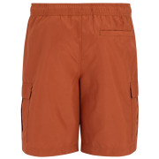 Costume da bagno da uomo Regatta Blanmont Swim Short
