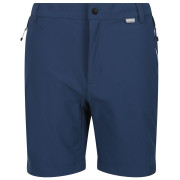 Pantaloncini da uomo Regatta Mountain ShortsII M blu BlueWing/Nav