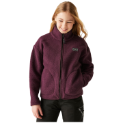 Felpa sportiva per bambini Dare 2b Zesty II Fleece