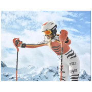 Occhiali da sci Uvex Victorious CV