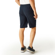 Pantaloncini da uomo Regatta Aldan Short