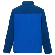 Felpa sportiva per bambini Regatta Junior Frankie Warm Fleece Aviator Blue