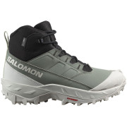 Scarpe da donna Salomon Crosstrak Waterproof verde Agave Green / Black / Canary Green