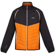 Giacca da uomo Regatta Steren Hybrid arancione Orange Pepper/Ash