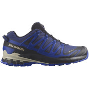 Scarpe da trekking da uomo Salomon Xa Pro 3D V9 Gore-Tex blu Blue Print / Surf The Web / Lapis Blue