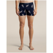 Boxer sportivi da uomo Icebreaker Men M 150 Anatomica Boxers BearTourAOP