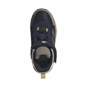 Scarpe da bambino Adidas Terrex Anylander Mid Climaproof Blue