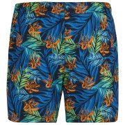 Costume da bagno da uomo Regatta Loras Swim Short
