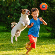 Giocattolo per cane Nerf Dog X-Weave Soccer Squeak Ball 12,5 cm