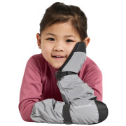 Guanti invernali per bambini Didriksons Biggles Refl Mitten