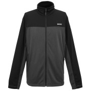 Felpa da uomo Regatta Highton Full Zip Midlayer grigio Ash/Black