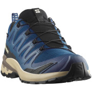 Scarpe da trekking da uomo Salomon Xa Pro 3D V9 Gore-Tex