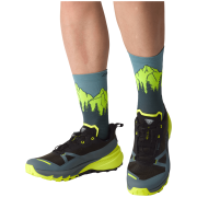 Scarpe da corsa da uomo Dynafit Traverse 2 Gtx