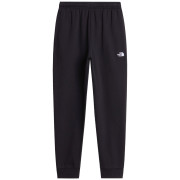 Pantaloni da tuta da uomo The North Face M Evolution Simple Dome Regular Jogger nero TNF BLACK