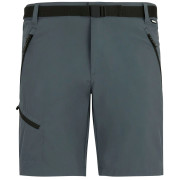 Pantaloncini da uomo Regatta Xert Stretch Shorts grigio Dark Storm