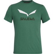 Maglietta da uomo Salewa Solidlogo Dri-Rel M S/S Tee verde MyrtleMelange