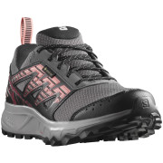 Scarpe da corsa da donna Salomon Wander Gore-Tex grigio Plum Kitten / Black / Peach Amber