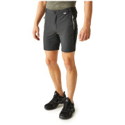 Pantaloncini da uomo Regatta Mountain ShortsII M