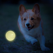 Giocattolo per cane Nerf Dog LED launcher Air Strike